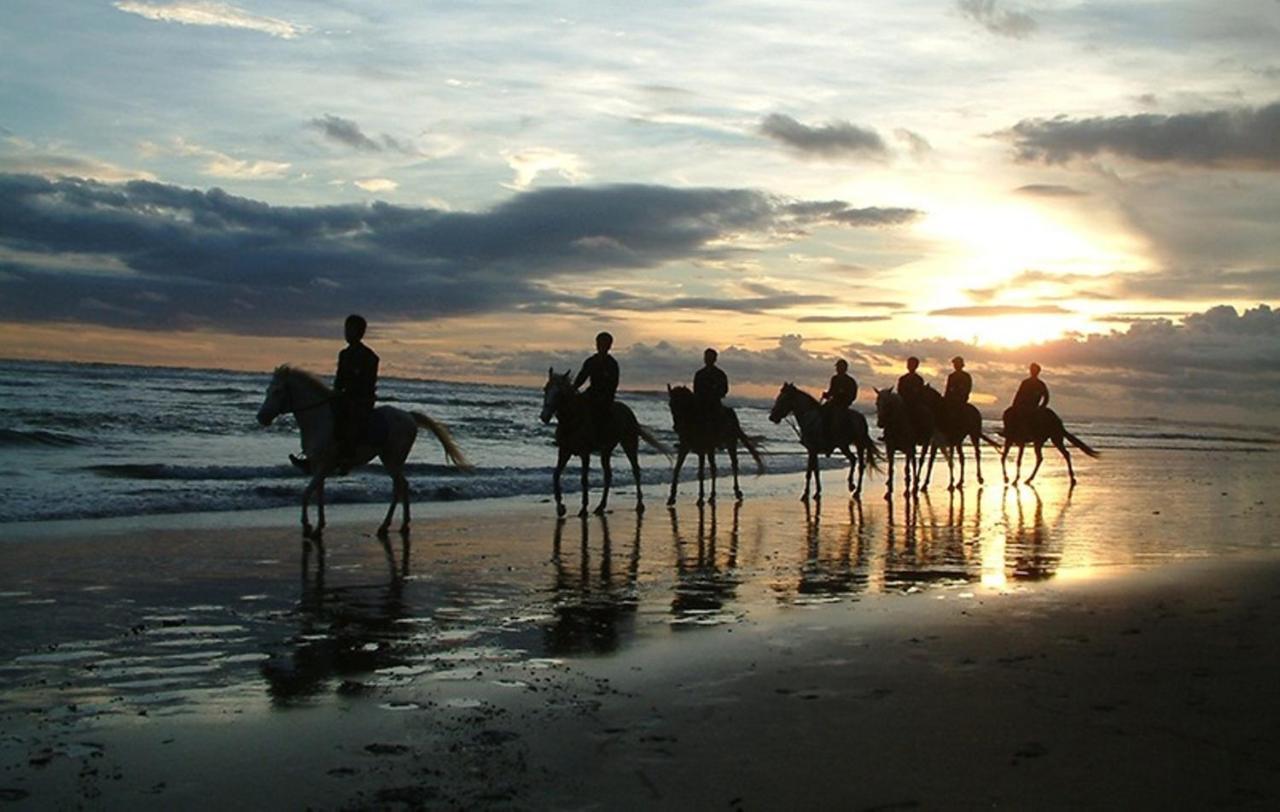 Villa Seminyak William Dış mekan fotoğraf